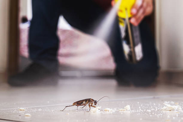 Best Pest Control for Businesses  in Garrison, TX