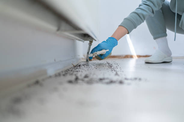 Best Rodent Control Near Me  in Garrison, TX